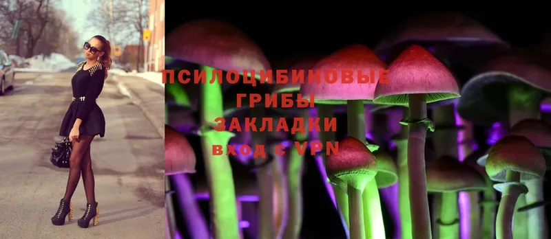 Псилоцибиновые грибы Psilocybine cubensis  Сатка 